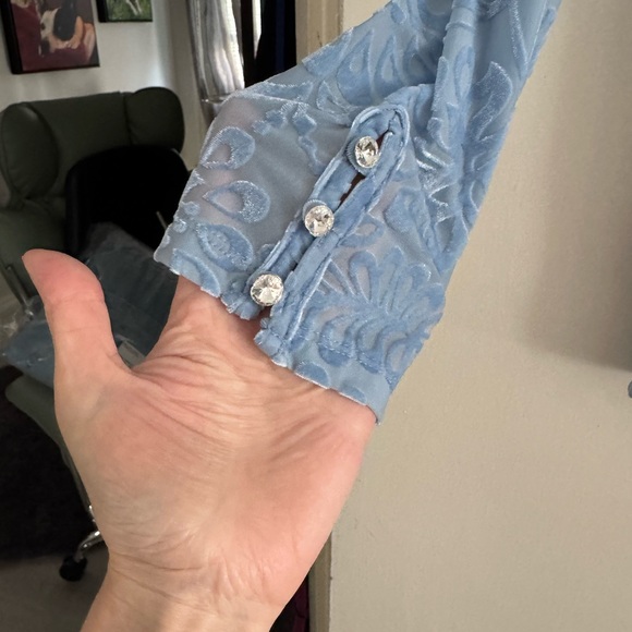 Soft Surroundings M Light Blue Velvet Burnout Floral Long Sleeve Top - Picture 3 of 8